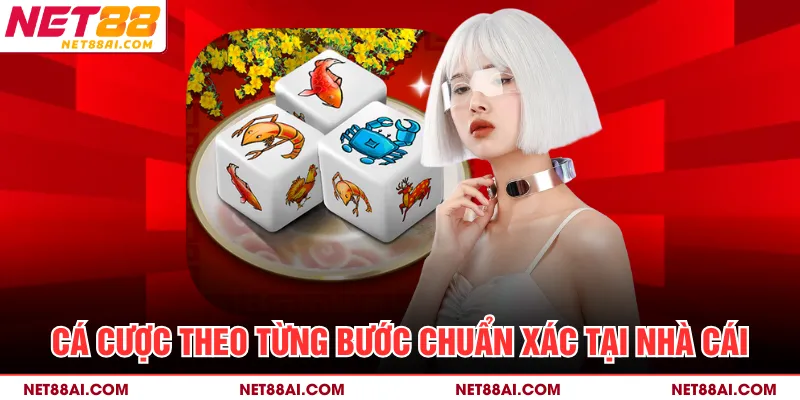 Cá cược theo từng bước chuẩn xác tại nhà cái